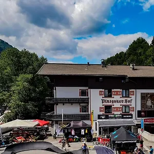 Pinzgauerhof - Inclusive Evening Dinner And Joker Card In Summer Зальбах-Хинтерглемм